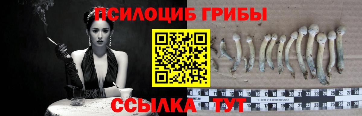 Изобильный  Галлюциногенные грибы Psilocybine cubensis  Вход с VPN 